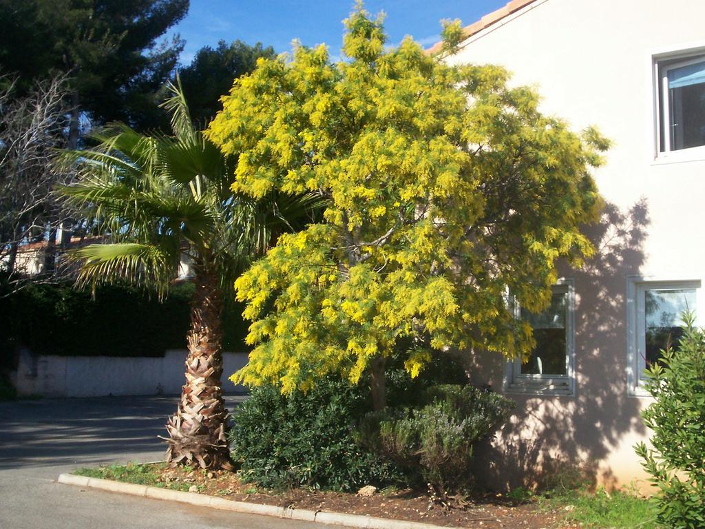 Stars Antibes Ξενοδοχείο Biot Εξωτερικό φωτογραφία
